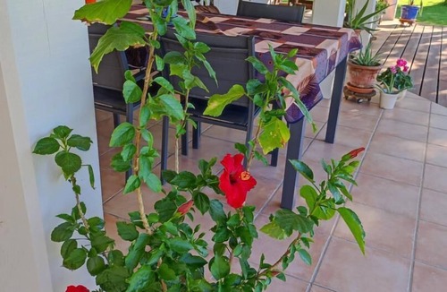 Onard House | Louisiana - ONARD - Gîte