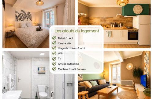 Saint-Girons Apartment | " Loutrein Lodge " Centre ville - Entrée autonome - Wifi