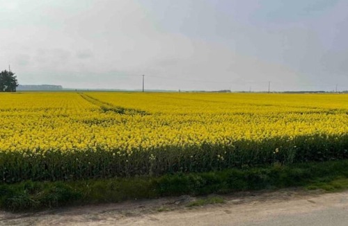 Epieds-en-Beauce Apartment | love and chic