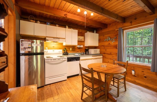 Sautee Nacoochee Cabin | Love Bird - The Perfect Nest!