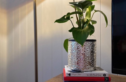 Reesville Cottage | ❤️Love Romance Celebration❤️Exclusive Couples Heaven