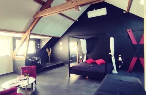 Montargis Apartment | Love Room à Montargis