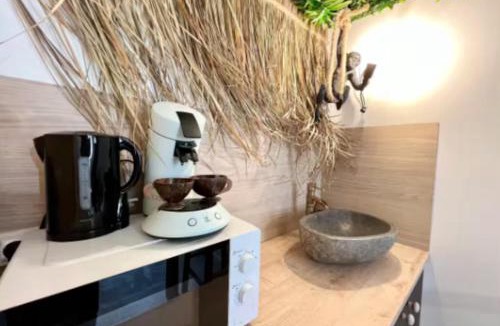 Souppes-sur-Loing Apartment | Love room Évasion tropicale