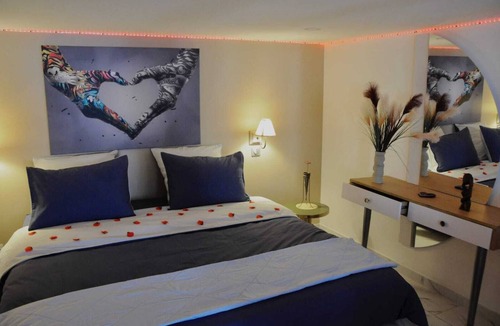 Rive-de-Gier Bed & Breakfast | Love room le belka