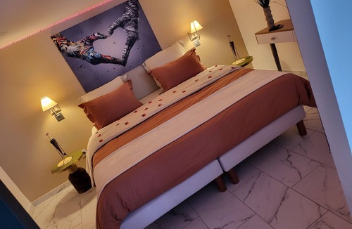 Rive-de-Gier Bed & Breakfast | Love room le belka