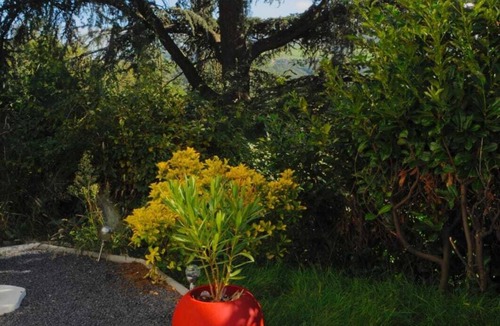 Rive-de-Gier House | Love room le belka