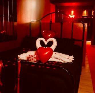 Wattignies Hotel | Love room location de 15h a 17h