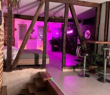 Leguevin Apartment | Love Room Toulouse