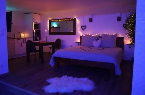 Charleville-Mezieres Apartment | Love room Unique - Sauna/Jacuzzi