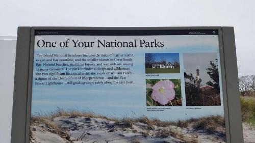 Bayberry Dunes Other | LoveFINS