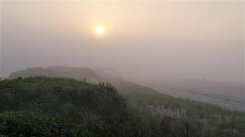 Bayberry Dunes Other | LoveFINS