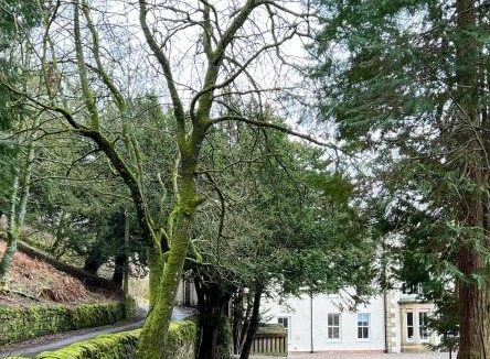 Alston House | Lovelady Shield House