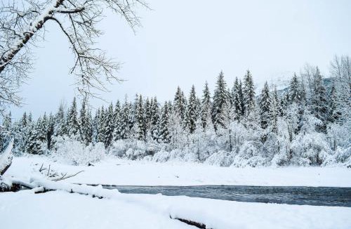 Alyeska Hotel | Loveland Cottage