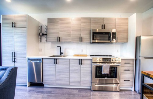 Pointe-Saint-Charles Apartment | Lovely 2 BDRs renovated condo near DT, metro