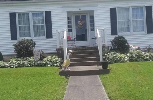 Maysville House | Lovely 2-bedroom house with AC in adorable Maysville