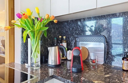 Ronco sopra Ascona Apartment | Lovely apartment for 4 guests with WIFI, TV, balcony, pets allowed and panoramic view