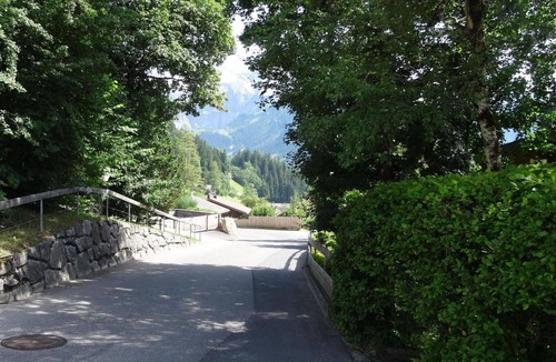 Lenk Apartment | Lovely apartment for 8 guests with WIFI, balcony and pets allowed