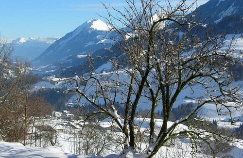 Oberwil im Simmental Apartment | Lovely apartment for 5 people with WIFI, balcony and parking