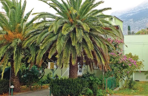Makarska Apartment | Lovely apartment in Makarska with WiFi