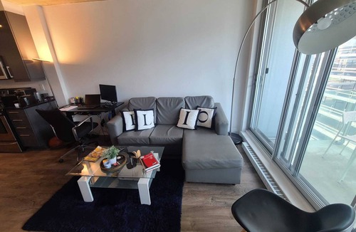 Griffintown Condo | Lovely apartment with city view
