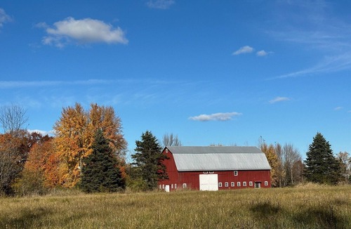 Custer Cabin | Lovely cabin with AC in charming Custer