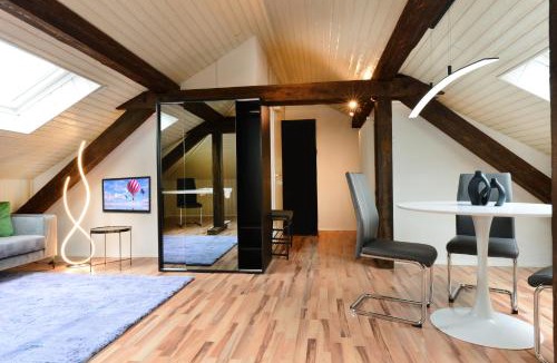 Hirslanden Apartment | Lovely central flats