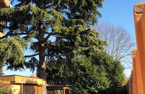 Villejuif Apartment | Lovely Chalet-style studio on ground floor with terrace overlooking garden near IGR line 14