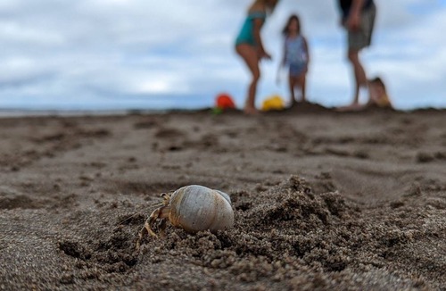 Grand Barachois Cottage | Lovely cottage with private beach access!