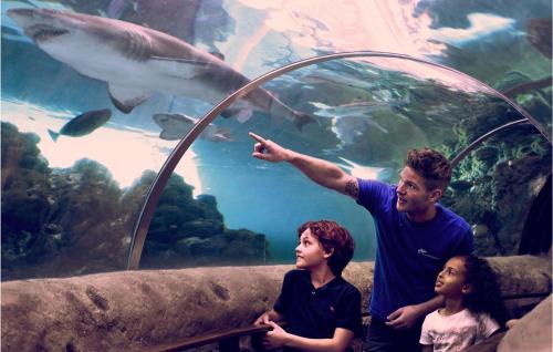 Grena Strand House | Lovely Home In Grenaa With Kitchen