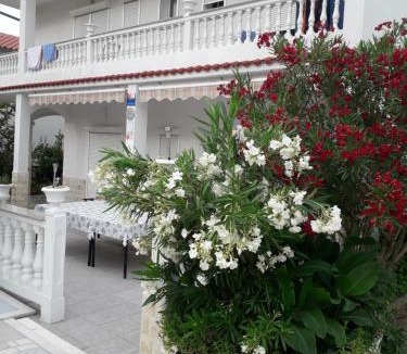 Palit Apartment | Lovely Marjetka apartment