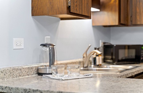 Chicago Ridge Apartment | Lovely & Modern 2 Bd Apt near Golf Course