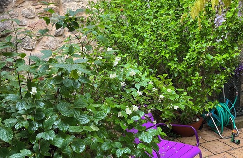 Camps-sur-l'Agly House | Lovely, quiet studio.