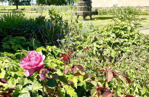 Noyal-sur-Vilaine Apartment | Lovely self-contained studio in country gite