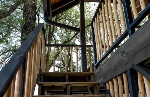 Elm Mott Cabin | Lovely Treehouse Glamping Spot Near Magnolia and Baylor, Texas