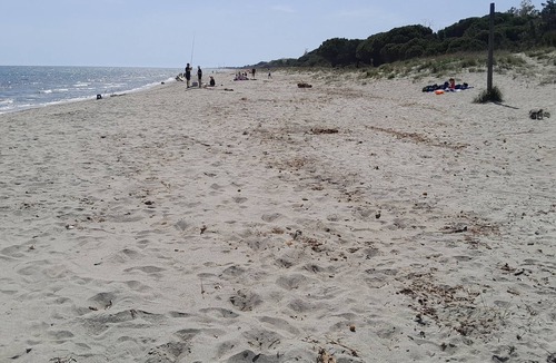 Sorbo-Ocagnano House | Lovely, well-equipped bungalow 300m from a very large sandy beach!