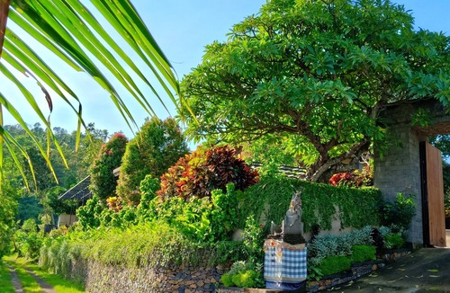 Kayu Putih Villa | Lovina hillside & ocean view villas