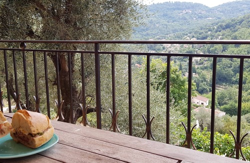 Le Bar-sur-Loup Apartment | Lower Garden Apartment with *Large Heated Pool*
