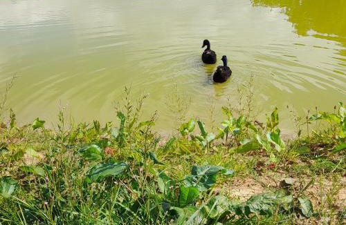 Norton St. Philip Other | Lower Haven Shepherds Hut
