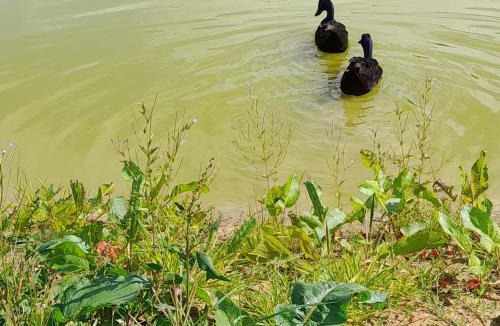 Norton St. Philip Other | Lower Haven Shepherds Hut