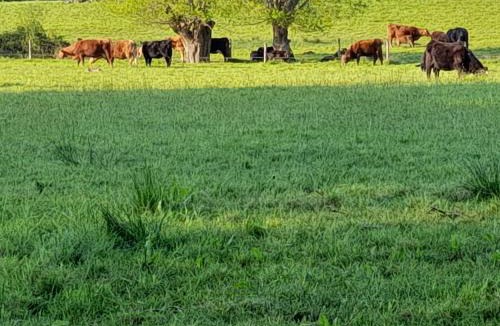 Norton St. Philip Other | Lower Haven Shepherds Hut
