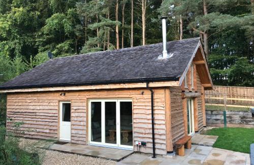 Sherwood Forest Cabin | Loxleys Lodge