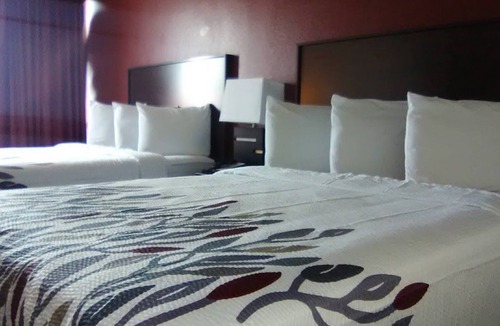 Lubbock Hotel | Lubbock Regency Inn
