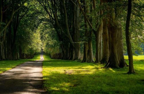 Colerne Hotel | Lucknam Park, Emblems Collection