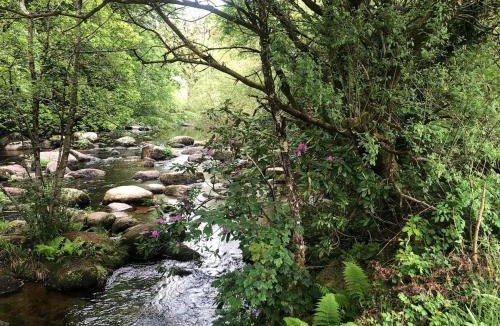 Dartmeet Apartment | LUCKY TOR