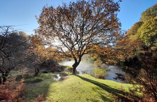 Dartmeet Apartment | LUCKY TOR