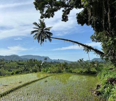 Sidemen Villa | Lumbung Uma Nadi Villas