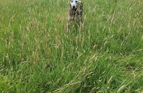 Little Missenden House | Lundy's Lodge at The Ranch