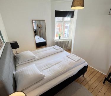 Aalborg Midtby Apartment | Lux grand 2-bedroom apartment on pedestrian street
