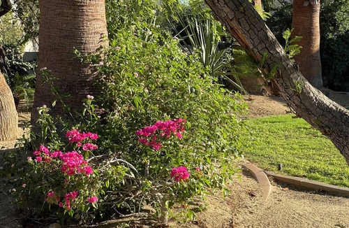 Palm Desert Villa | Lux Spanish Villa, Secret Desert Oasis Sleeps 12