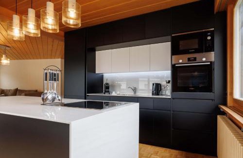 Davos-Platz Apartment | Luxe Davos Residence with Views Private Balcony